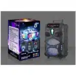 NDR-P55 20W SINGLE 8 BLUETOOTH MINI SPEAKER WITH LED LIGHT BUILT IN BATTERY