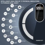 insmart body fat scale (model: IN818)